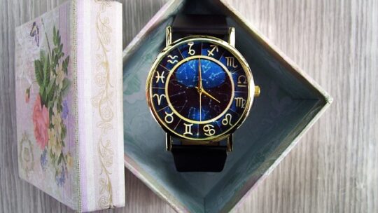 Les boîtes à montres en bois exotique : des options rares et uniques pour protéger vos montres